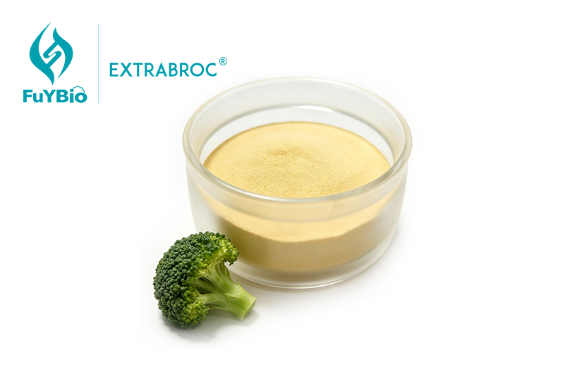 Broccoli Seed Extract Powder Bulk